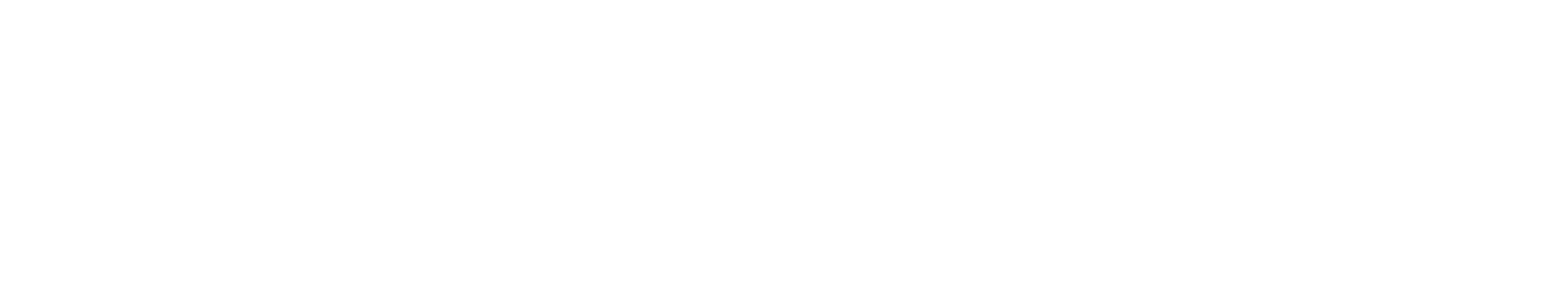RecoveryX